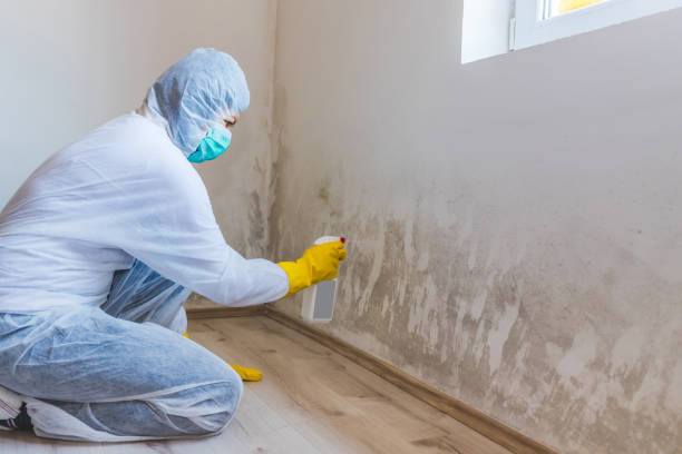 Hvac And Air Duct Mold Remediation inspection of HVAC system in Belleville